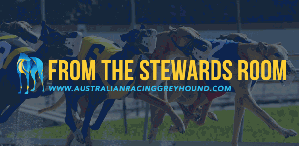 Stewards wrap: interim suspension for cocaine positive