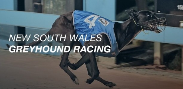2017 Group 2 Richmond Oaks and Derby heats review