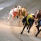 Mr Shire back in fine form ahead of Group 3 Gold Cup heats