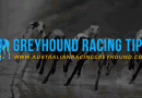 2017 Group 2 Richmond Oaks and Derby tips