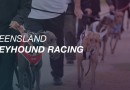 Fast times recorded in Ipswich Auction Series semi-finals