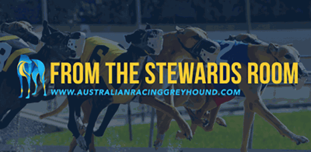 Stewards wrap: Finn’s penalty for EPO offences reduced on appeal