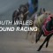 Gunnadoo Cove wins 2017 Group 3 Gold Cup