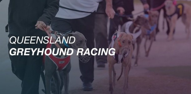 Pyro Bob wins 2017 Group 2 Ipswich Auction Series