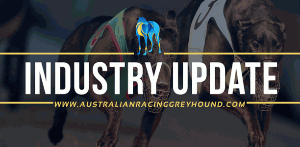 NSW Government to provide $41m funding to greyhound industry