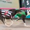 Douch hoping beginner’s luck can continue in Launching Pad semi