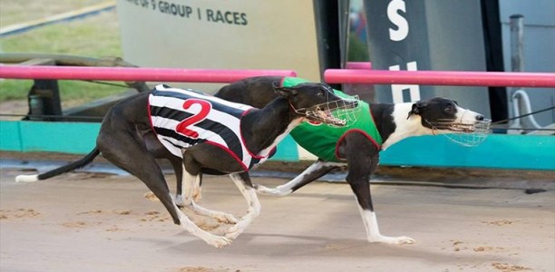 Douch hoping beginner’s luck can continue in Launching Pad semi