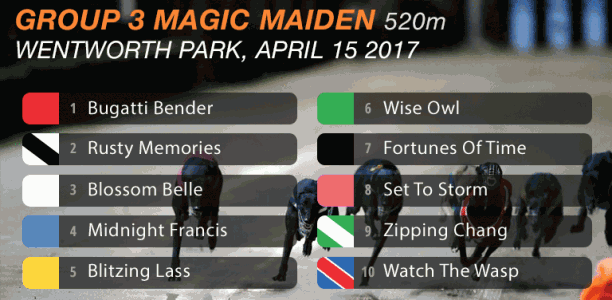 Magic Maiden semi-final time honours to go Wise Owl