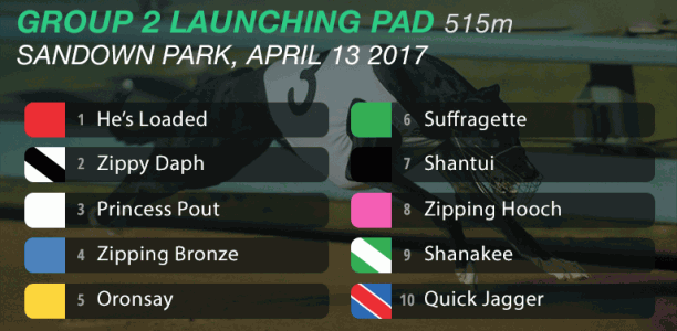Suffragette sets the standard in Launching Pad semi-finals