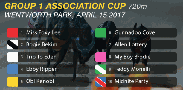 2017 Group 1 Association Cup heat recap and final box draw