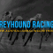 Golden Easter Egg night – feature race tips and betting preview