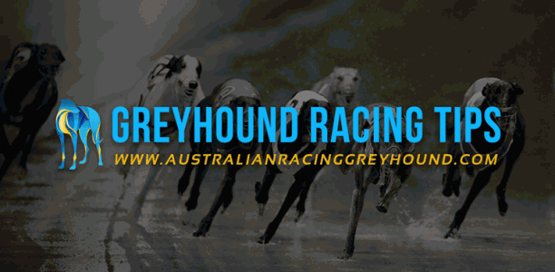 Golden Easter Egg night – feature race tips and betting preview