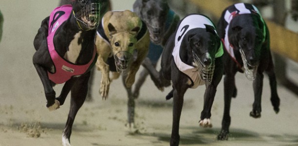 Geall’s golden girl eyes Easter glory