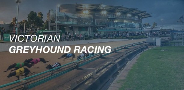 Suffragette powers away to win Group 2 Launching Pad