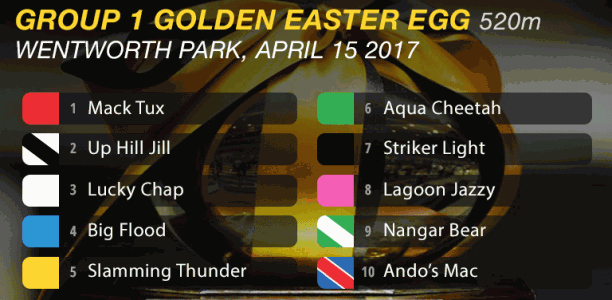 Up Hill Jill remains the top pick for 2017 Easter Egg