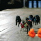 Trip To Eden triumphs in Group 1 Association Cup