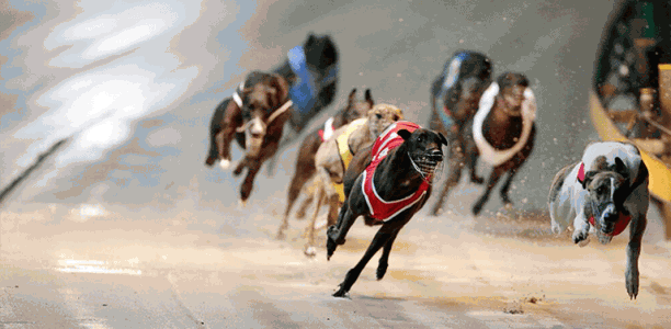 Golden Easter Egg win sets Striker Light as one of Bravo’s best