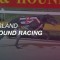 Queensland greyhounds to soon require log books