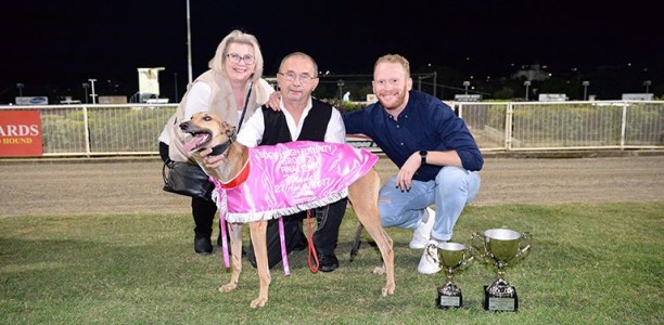 Neeky’s Way gives Dart cause for celebration winning QLD Futurity