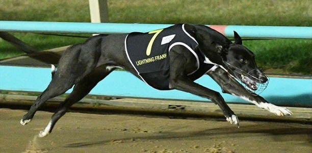Lightning Frank the favourite for 2017 Warrnambool Classic