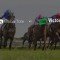 The Global Tote live at Topbetta for Albion Park meeting