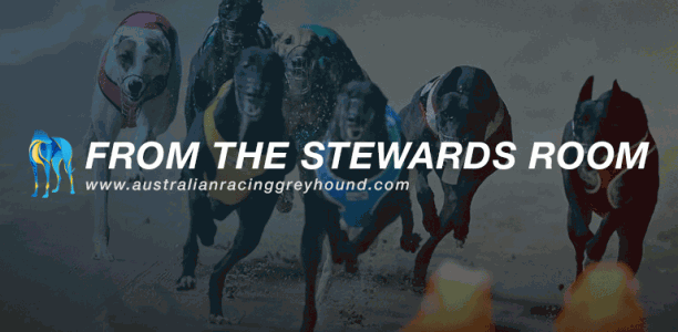 Stewards wrap: six month ban for long list of welfare issues