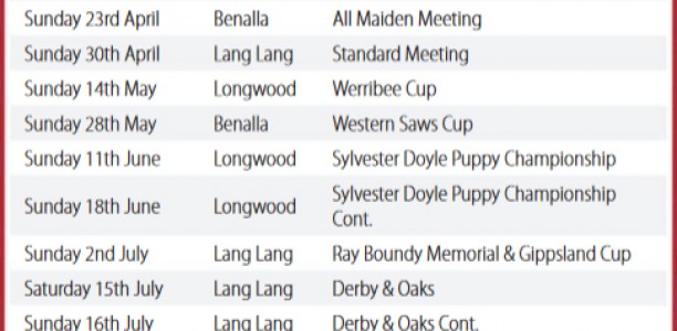 COURSING: Trial session a leeway into Benalla Cup