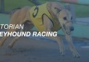 Sandown Park recap: Bewildering wins 2017 Speed Star