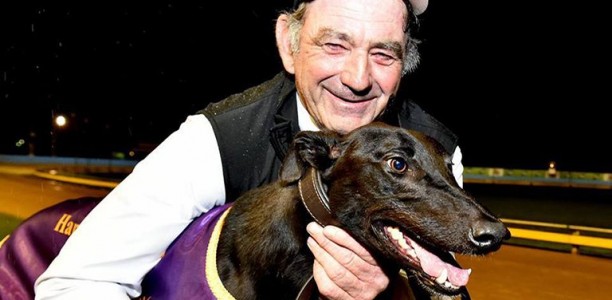 Dundee Calypso to target Sandown Cup after Lizrene victory