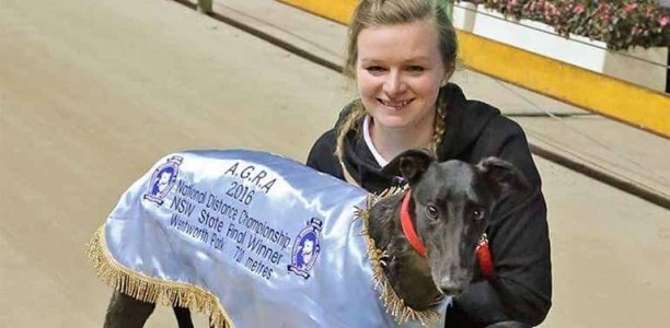 Trainer misses chance at $175,000 after Wentworth Park abandoned