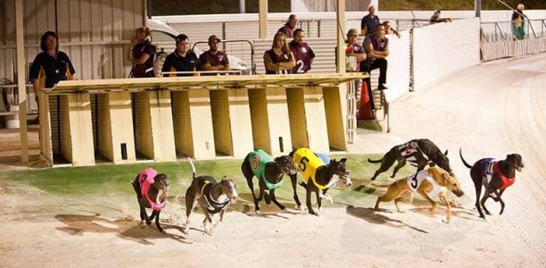 Halse duo fit and firing ahead of Group 2 WA Derby