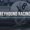 2017 Group 1 Sandown Cup heat tips and betting preview