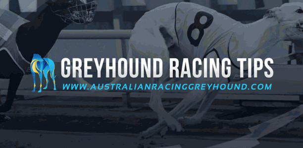 2017 Group 1 Sandown Cup heat tips and betting preview