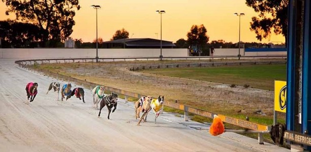2017 Group 2 WA Derby – betting preview and best bookie odds