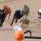 Corcoran: Sandown Cup victory propelled him to stardom