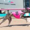 Harrison-Dawson could be the finale for Sandown’s fastest dog