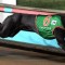 Britton scores Fantatastic win in Group 1 Sandown Cup