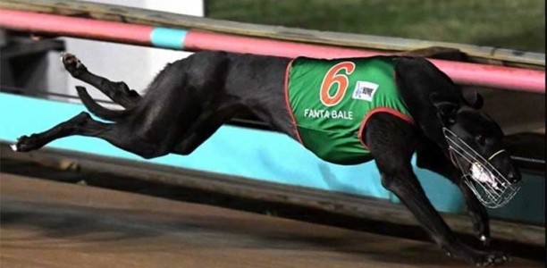 Britton scores Fantatastic win in Group 1 Sandown Cup
