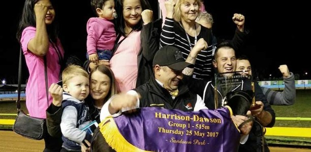 Black Mumbo wins 2017 Group 1 Harrison-Dawson