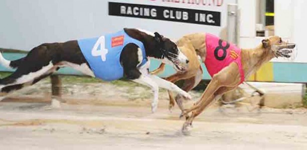 Miss Hot Gossip: WA Oaks showed her true mettle