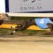 Rawlings goes back-to-back in Howard Ashton with Crunchin Numbers