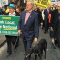 NSW greyhound racing: this could have been our final month