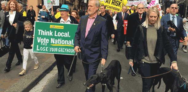 NSW greyhound racing: this could have been our final month