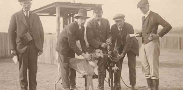 The early struggle for a viable greyhound industry
