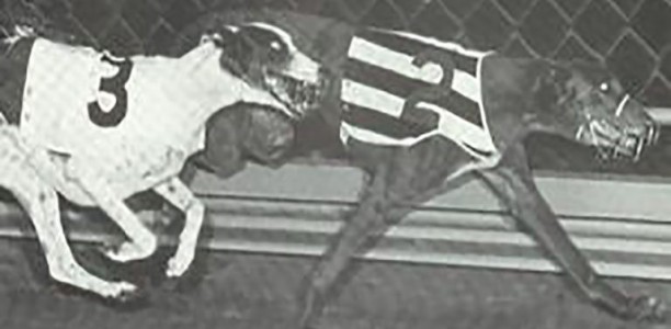 Remembering the career of dual Gold Cup winner Dotie Wilson