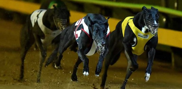Can Up Hill Jill finally get her group 1 in the Peter Mosman?