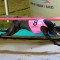 Fanta Bale flawless in Gold Cup; Super Stayers remains unclear