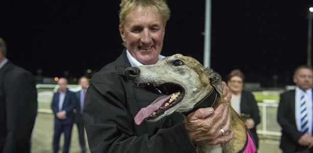 Rusty Dillon rates his charge a big chance in Super Stayers