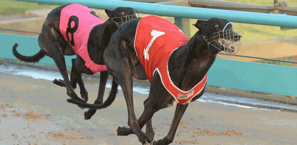 Breaking down the 2017/2018 AGRA racing calendar