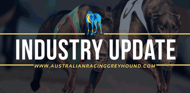 Morris Iemma announced as chairman of reconstituted GRNSW board